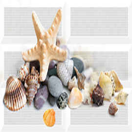 Настенная плитка Дельта керамика Дары моря