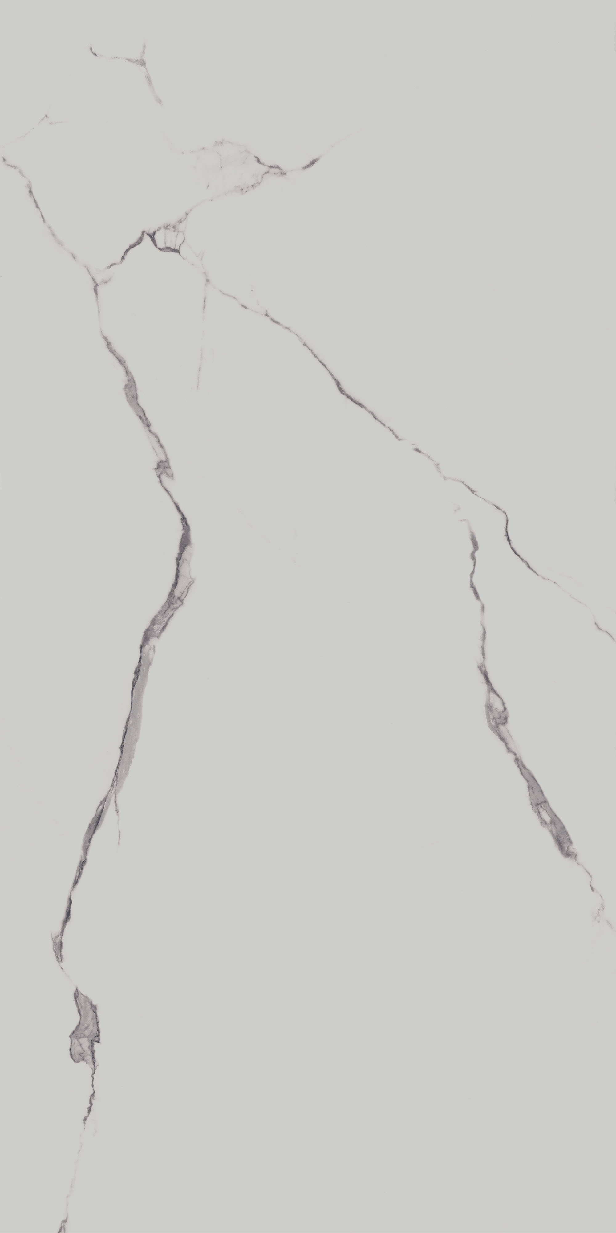 SG572190R Напольный Монте Тиберио Белый матовый обрезной 80x160x0.9 - фото 4