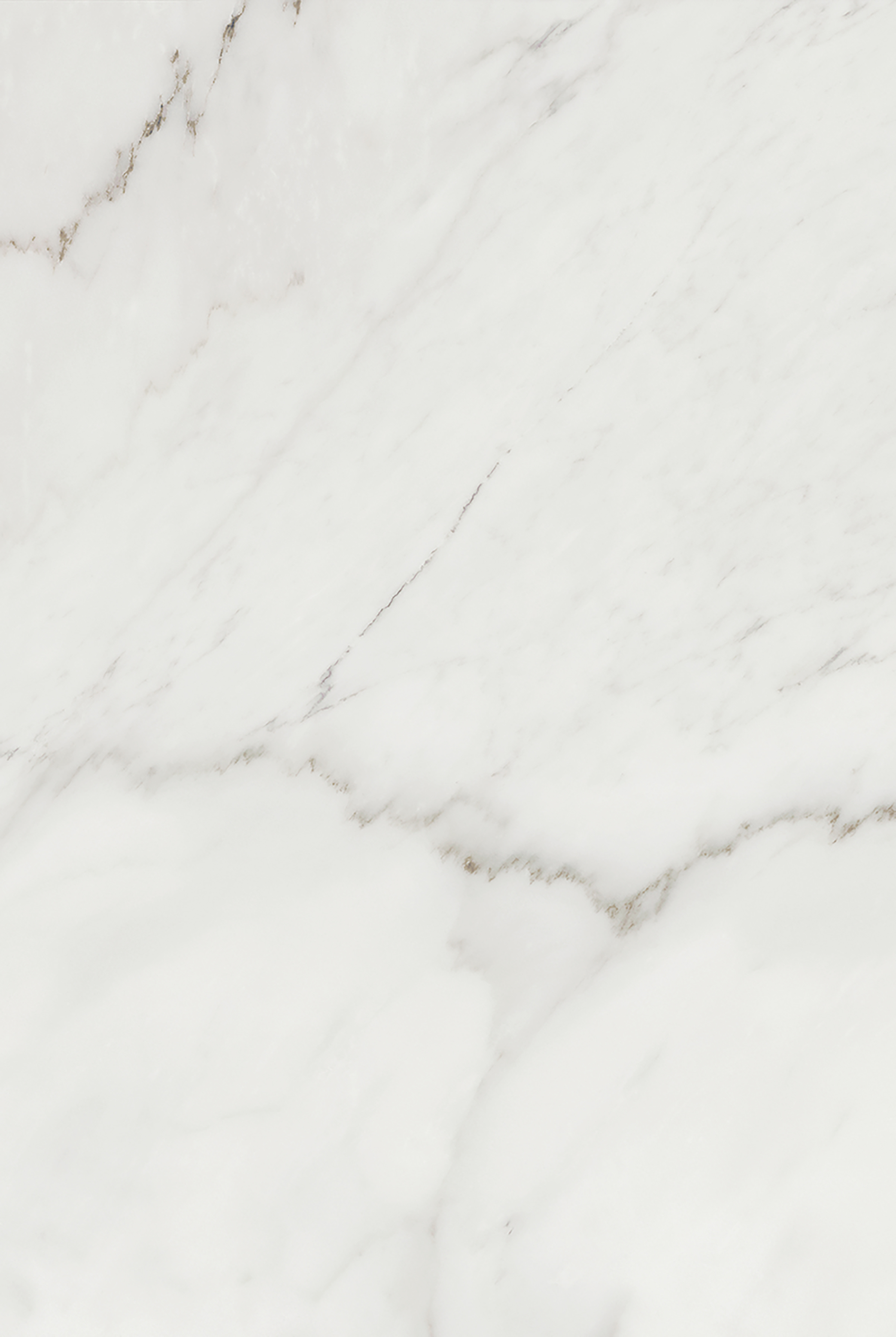 010100001423 На стену Серена Белый верх 01 vM 20х30 - фото 4