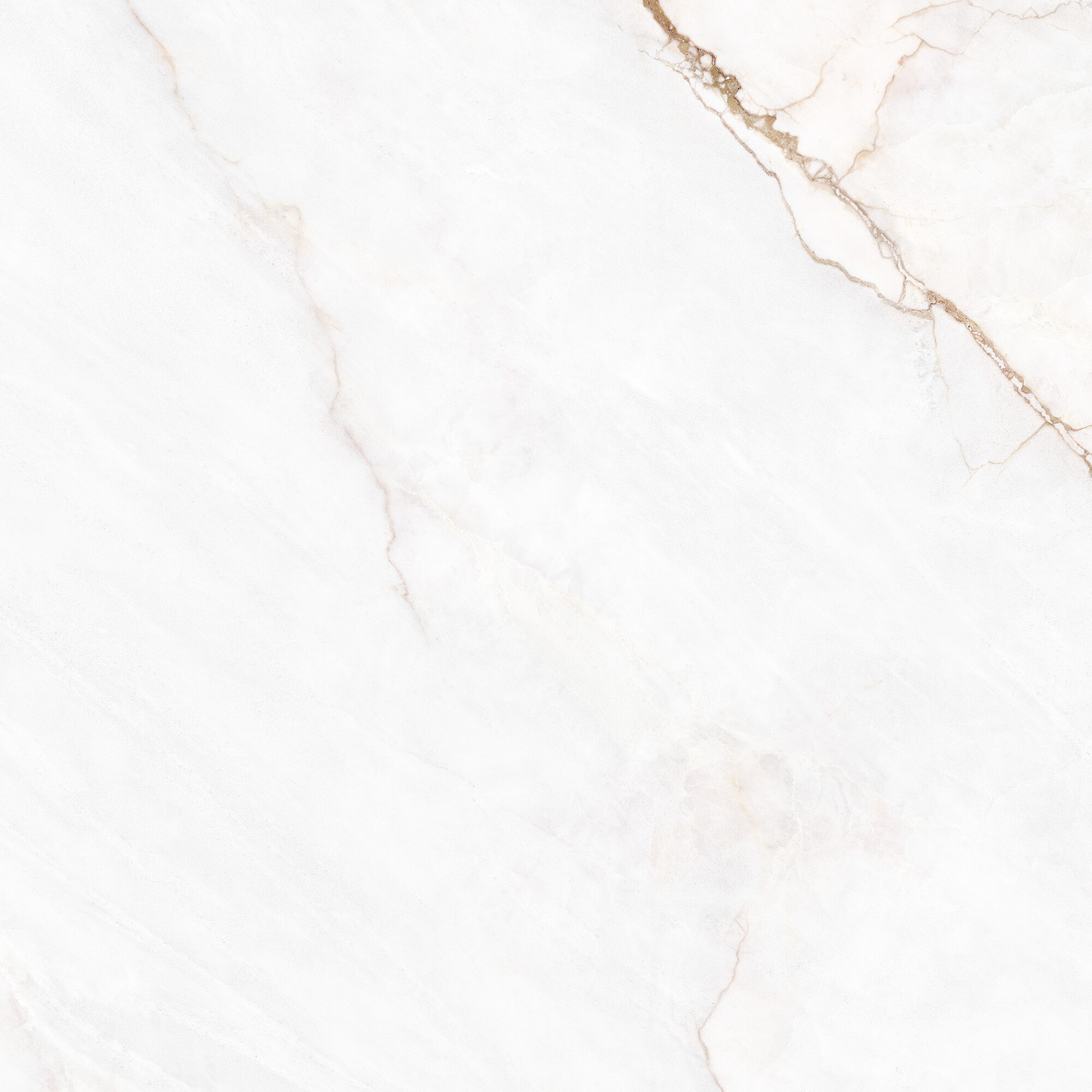 41431 На пол Museum Dahlia White SP/100X100X0.8/R 100x100 - фото 16