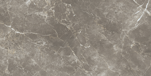 ECC2 На пол Elements Lux Persian Grey Silk RT 60x120 - фото 10