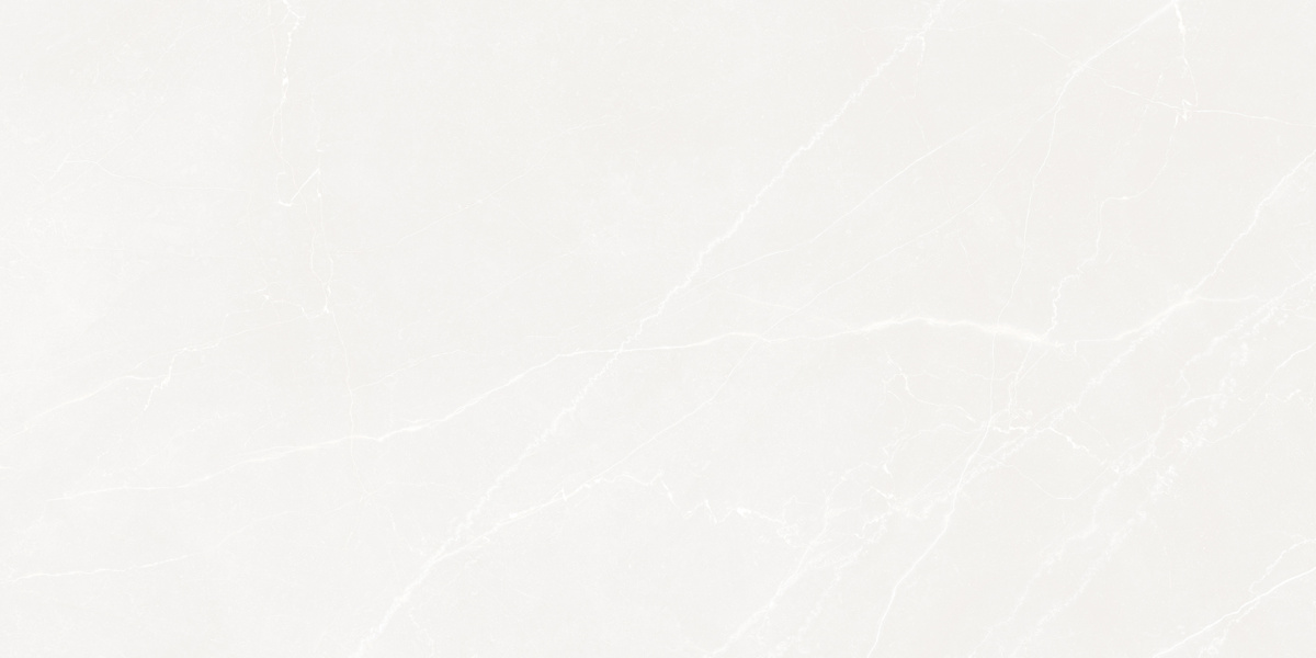 LP6012G0191R На пол Opera Bianco белый матовый 59.5х119.1 - фото 6