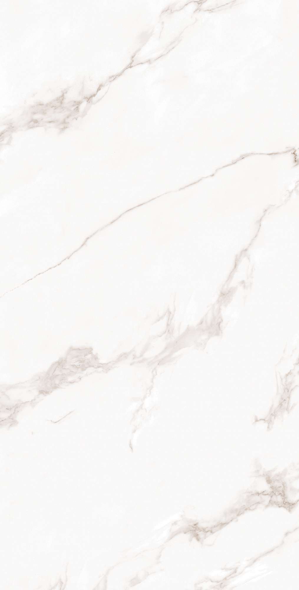 FP1019-A На пол Calacatta Bianco Full Polished 60x120 - фото 5