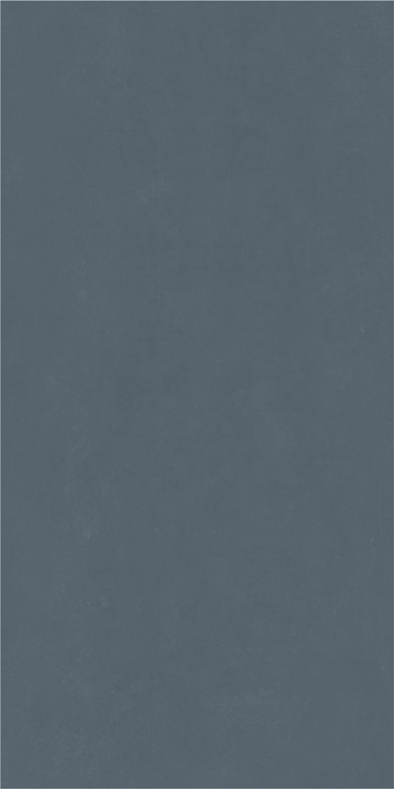 600010002375 На стену Surface Winter Blue Ret 80x160 - фото 2