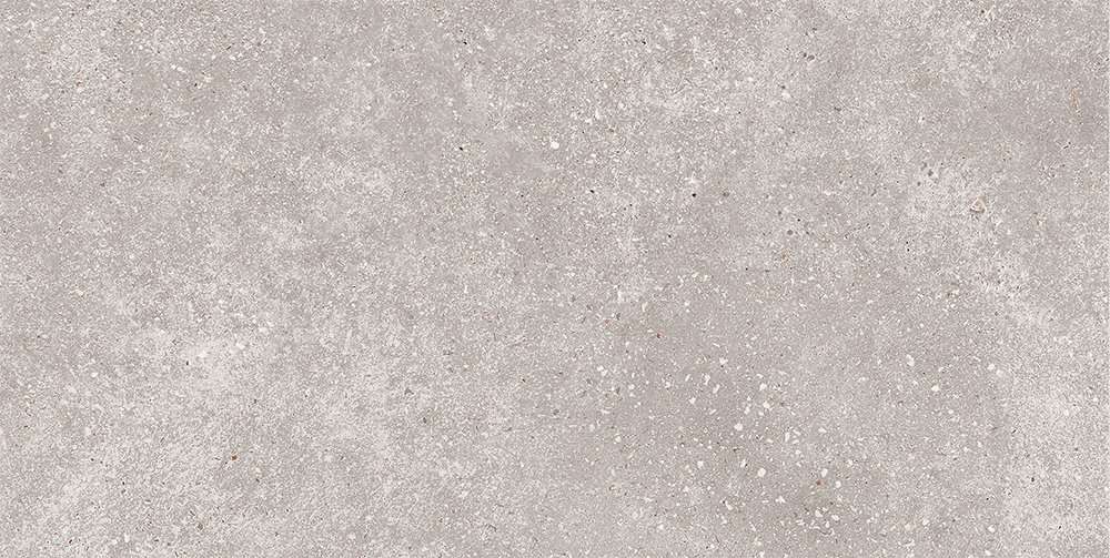 GT183VG На пол Coral Rock Cерый 30x60 - фото 6