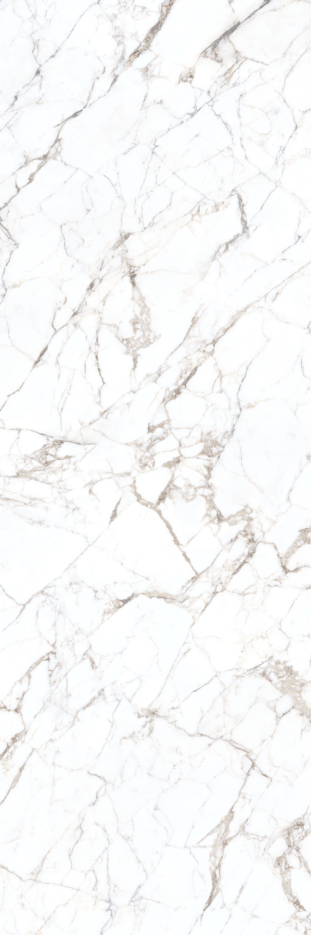 LAMF008353 На пол I Naturali Marmi Calacatta Vagli Oro 5 1000x3000