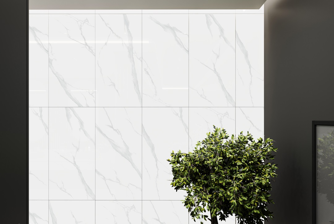 BB6NTT9100P На пол Bright And Shiny BB6NTT9100P - фото 40