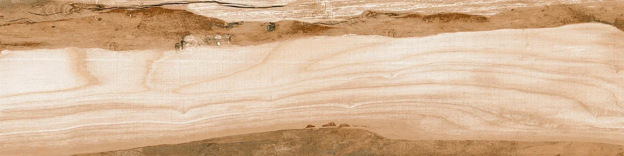 PH 0054 На пол Phoenix Phoenix - фото 3