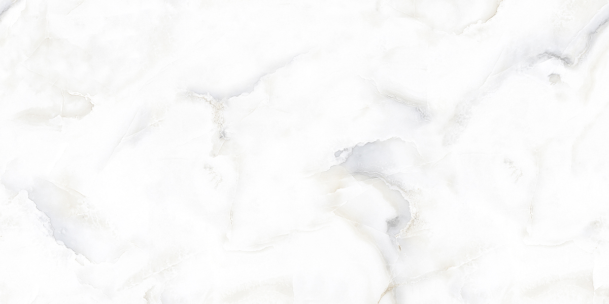 PRO 1149G На пол Dove Onix Gloss 1200x600 - фото 7