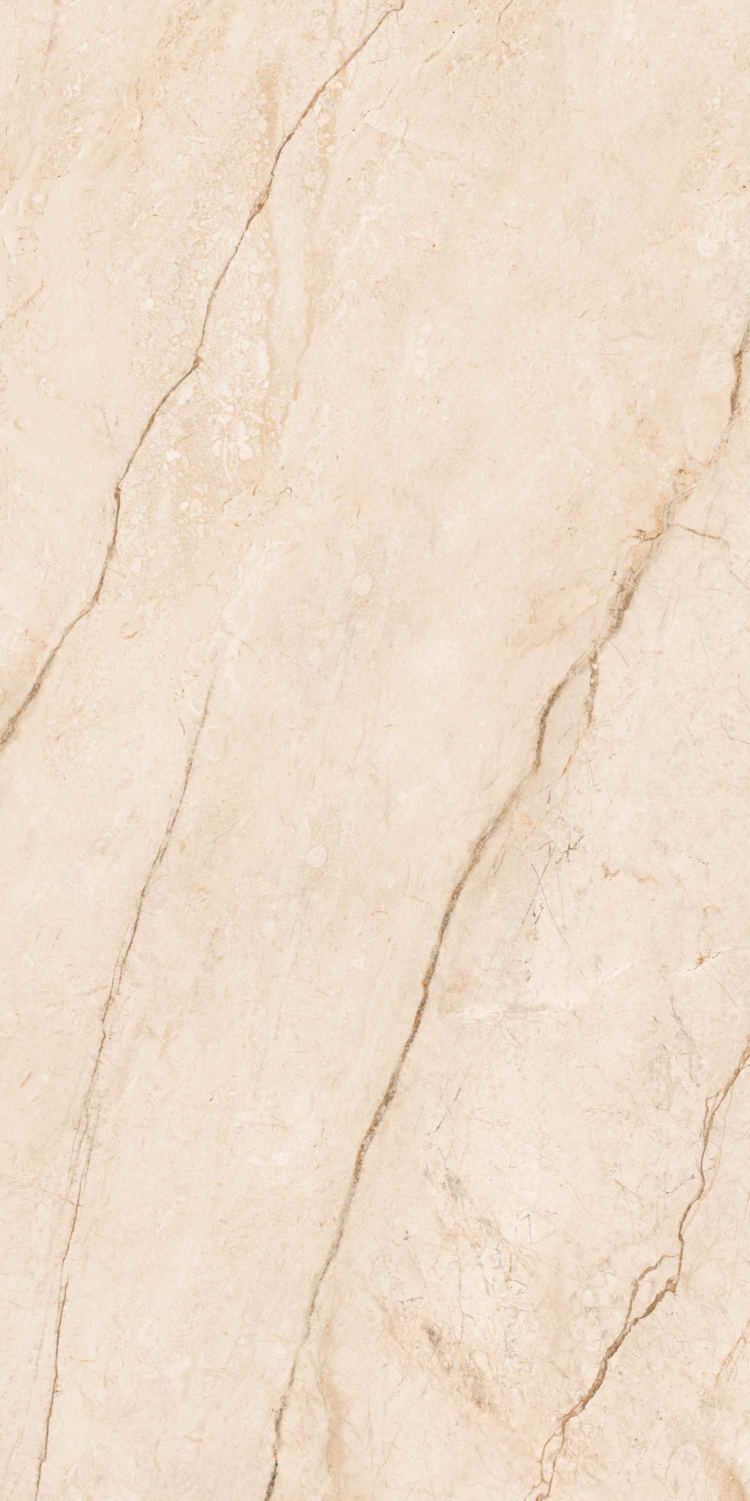 На пол Clevado Beige Deck 60x120 - фото 2