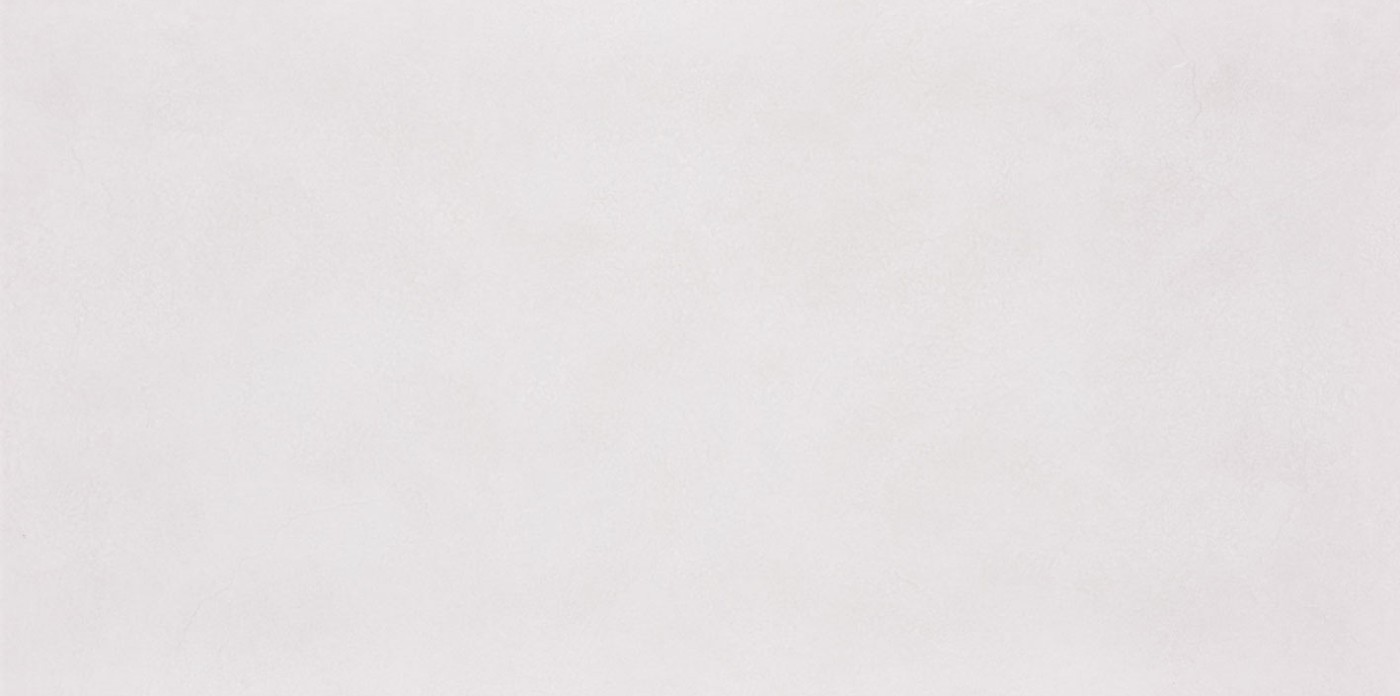 26072008 На пол Stone Art Slate White Relief 60x120