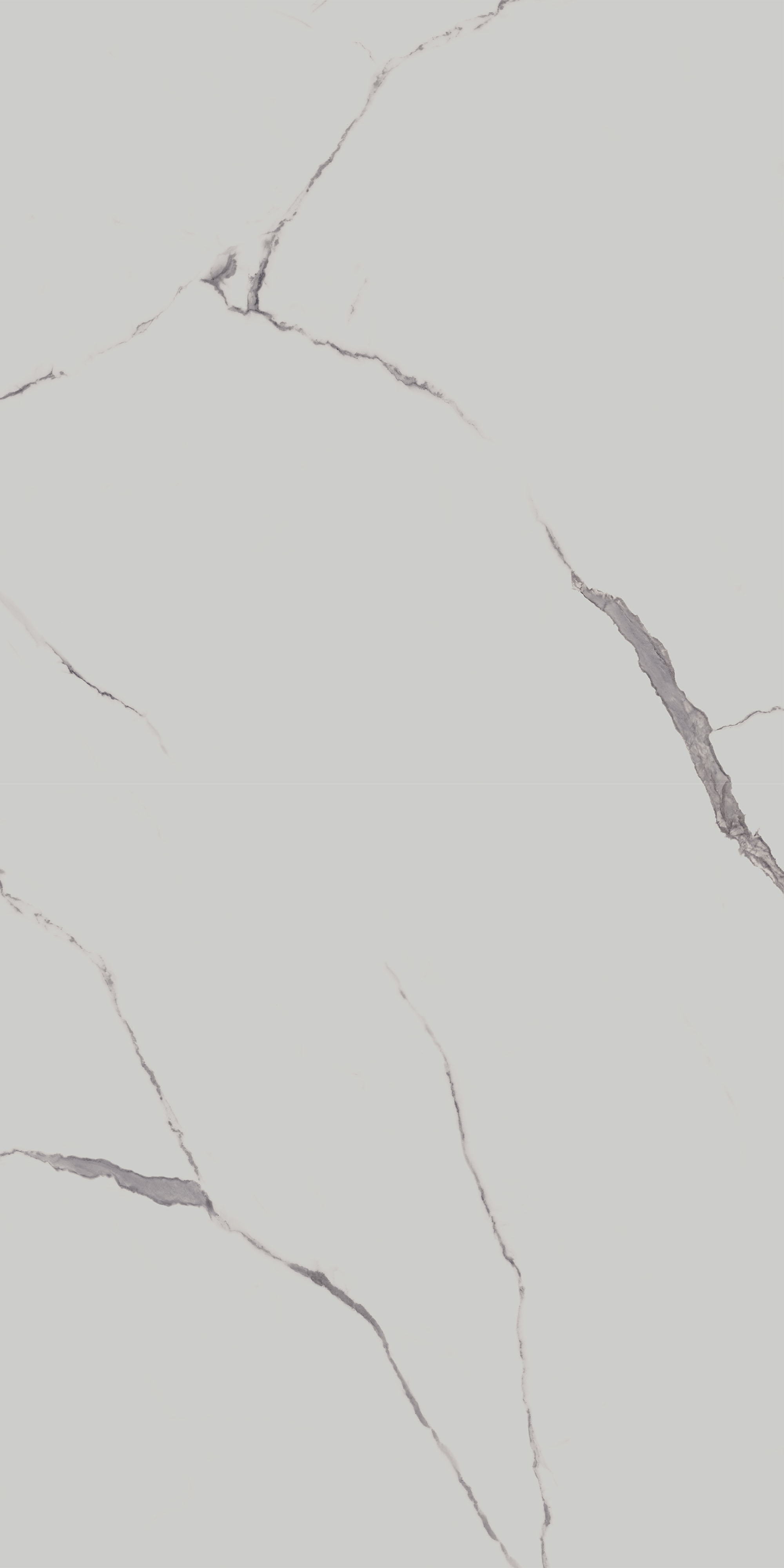 SG572190R Напольный Монте Тиберио Белый матовый обрезной 80x160x0.9