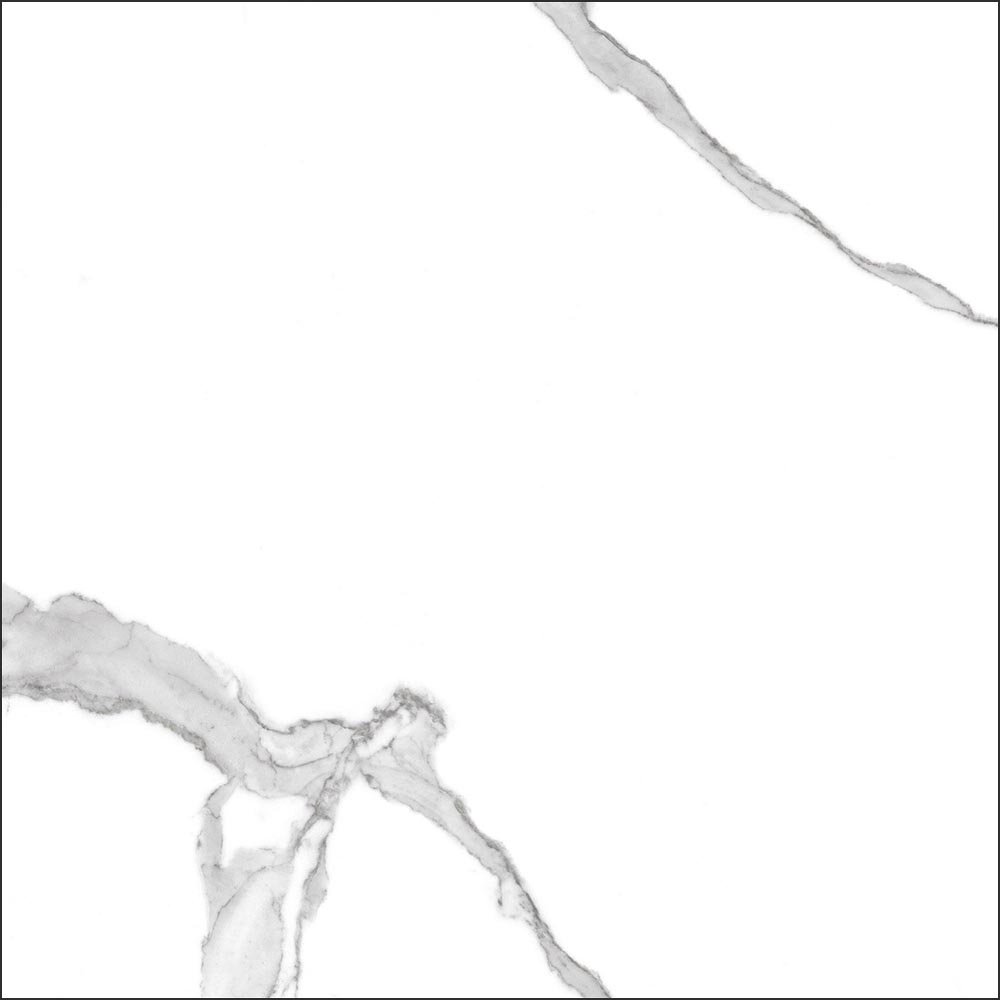 GT60601503MR На пол Anima Белый грес глаз. матовый - фото 13