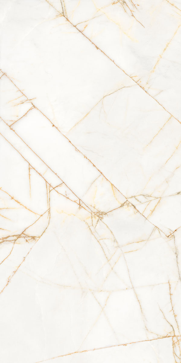 PF60017518 На пол Supreme Hedonism Golden Spider Nat R 60x120 - фото 8