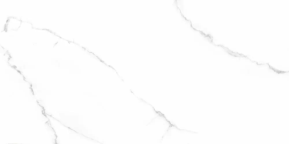 410203 На пол  Aria Glossy 60x120 - фото 2