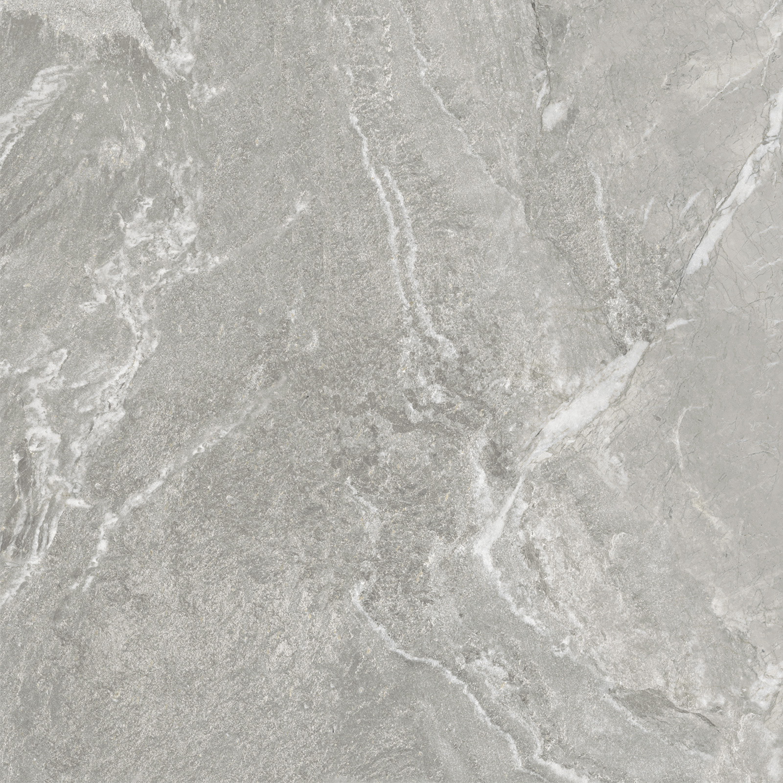 D60259M На пол Wild Light матовый 600x600x9.5 - фото 4