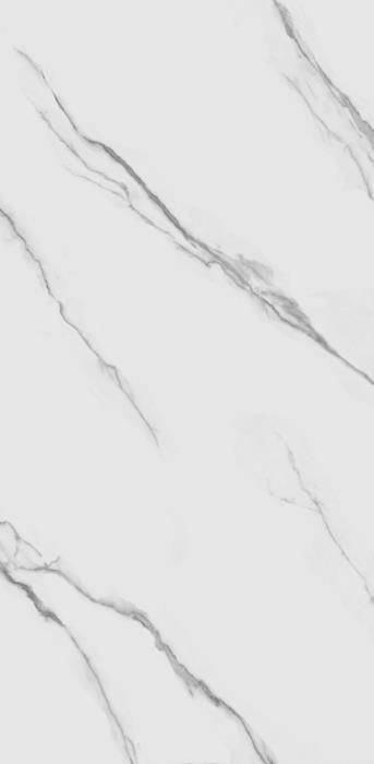 TP612M001 На пол Авиталь Матовый 60x120 - фото 3