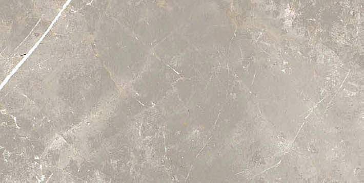 766630 На пол Elemental Stone Grey Dolomia Luc Ret 30x60 - фото 2