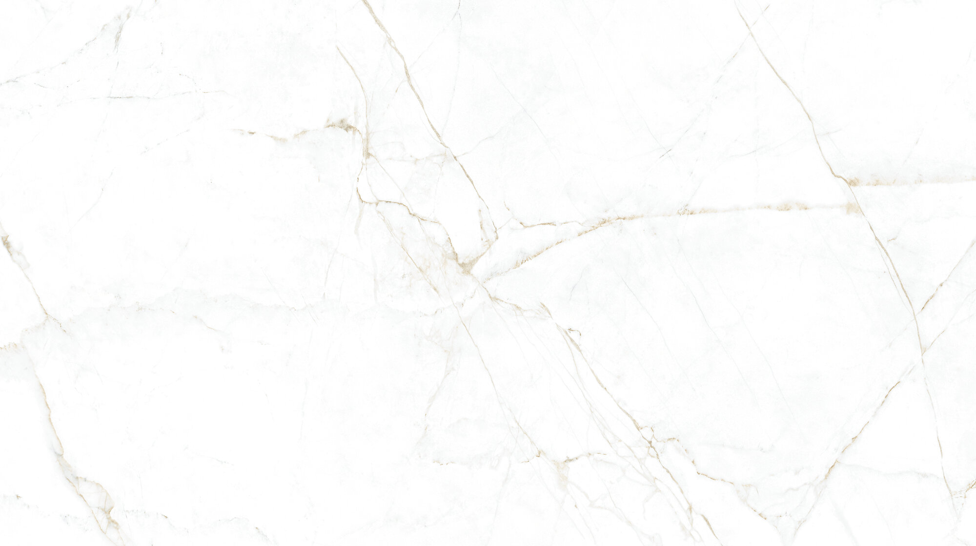 31745 На пол Museum Dual White/100X180/P 100х180 - фото 7