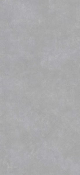 MN211AY261206 На пол Lamina Medium Gray Matt 6mm 120x260