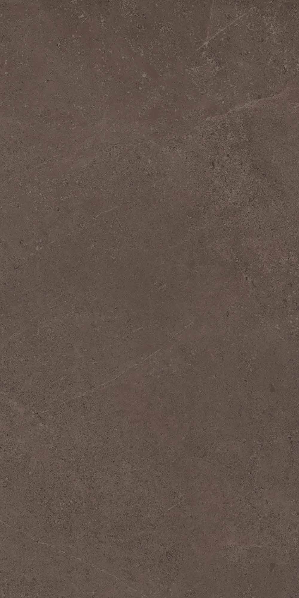 GO03/NS_R9/60x120x10R/GC На пол Gobi GO03 Brown Grey неполированный 60x120 - фото 2