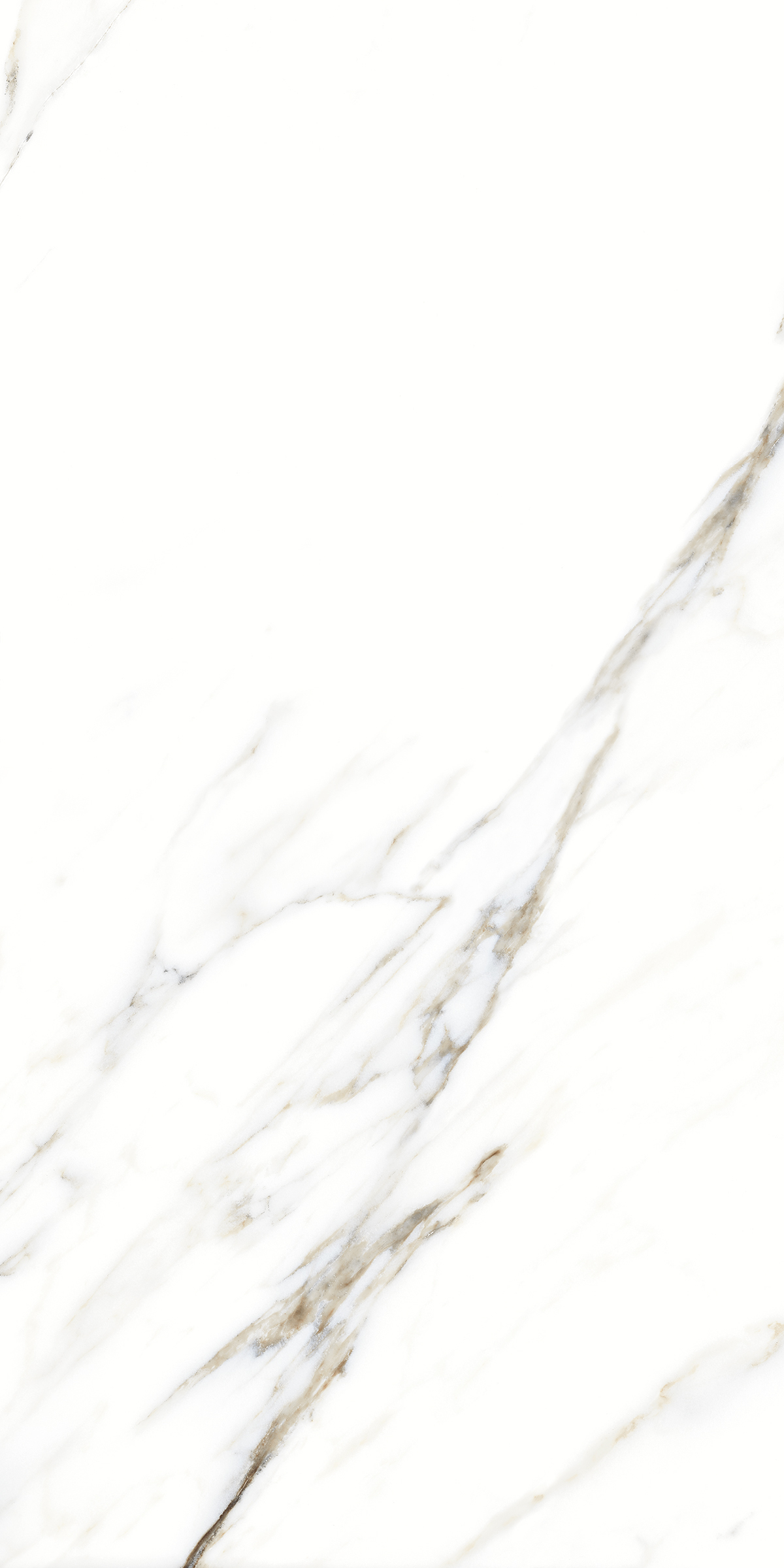 893  На пол Marble 5.5mm Fantastic White 120x60