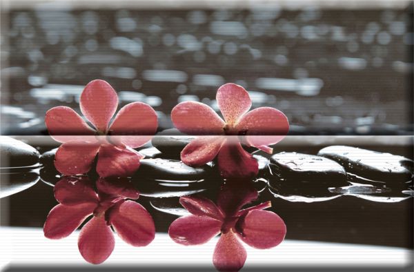 Панно Aure Wellness red Composicion Wellness 02 Red 30x45 (комплект 2шт)