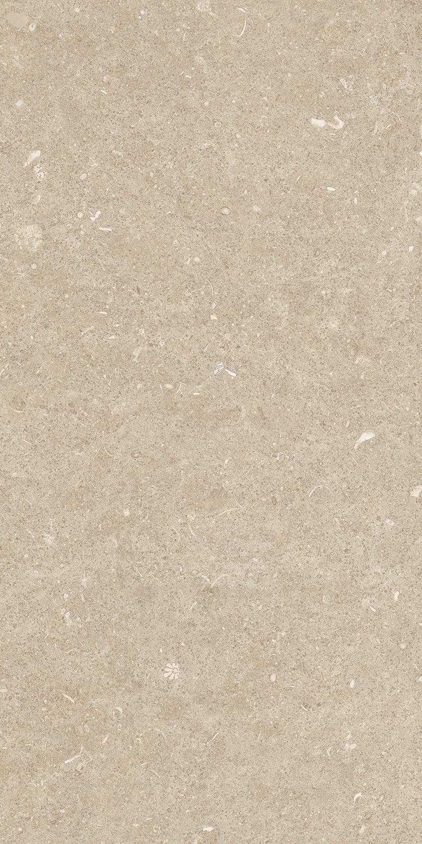 785501 На пол Rinascenza Arena Conchiglia Grip 30x60 - фото 6