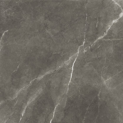 На пол Bayona Grey Pulido 120x120 - фото 5
