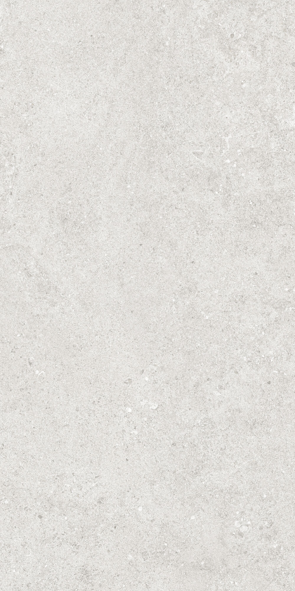 36904 На пол Cluny Silver 4D/50X100X2/A/R 50x100 - фото 4