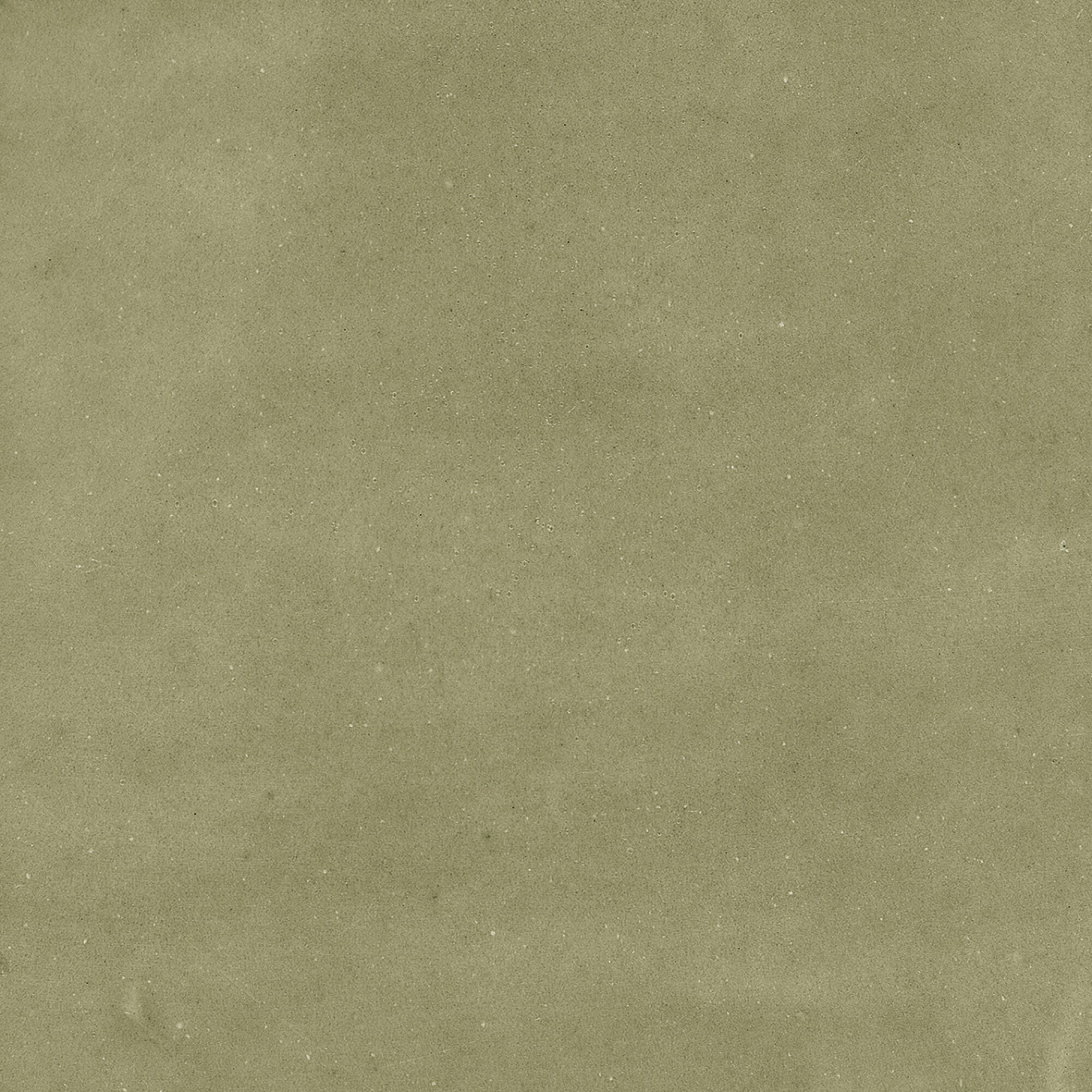 43292 На стену Samira Sage 10x10