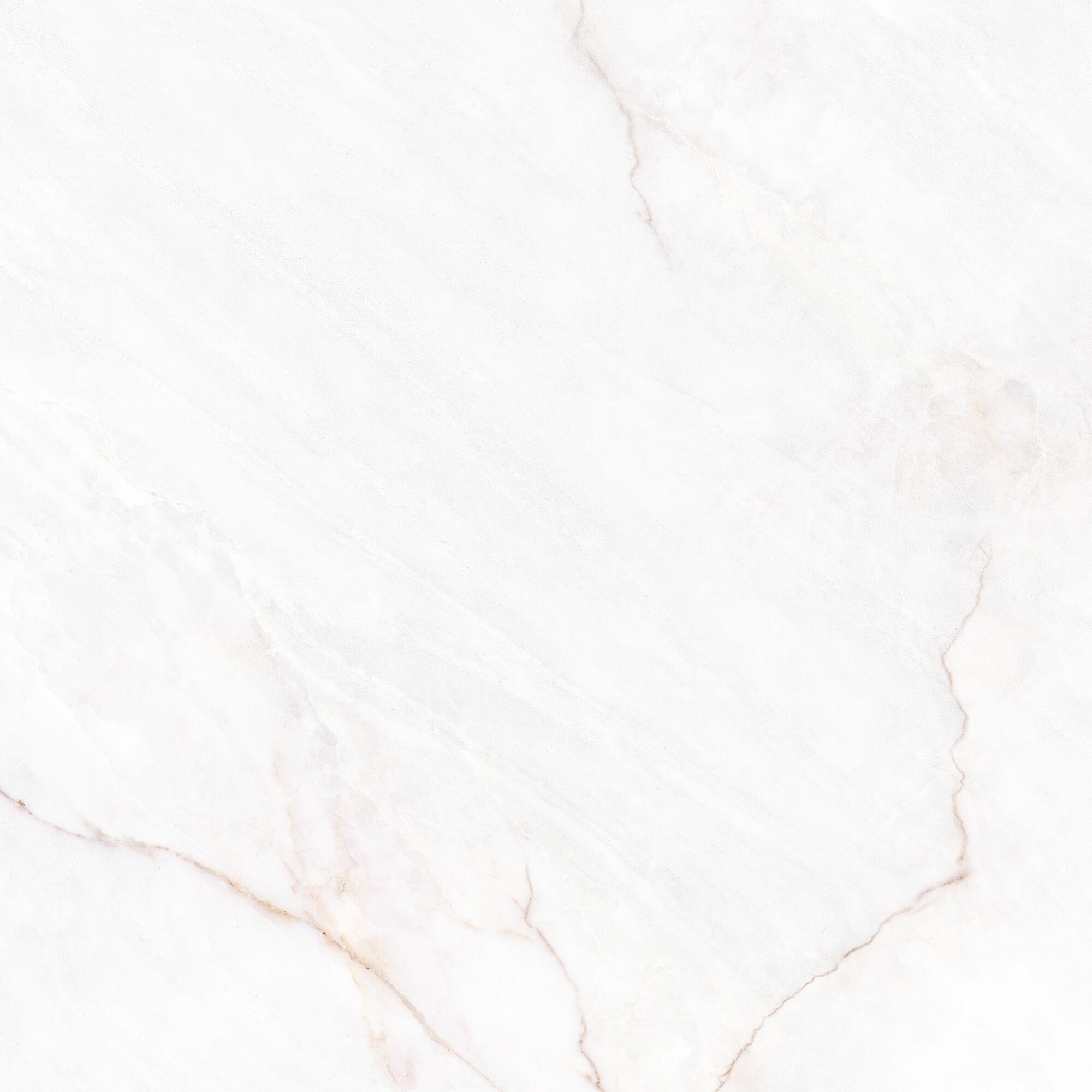 41431 На пол Museum Dahlia White SP/100X100X0.8/R 100x100 - фото 7