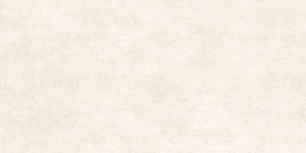 GFU60120BLN04R На пол Berlin Матовый 04R 120x60 - фото 2