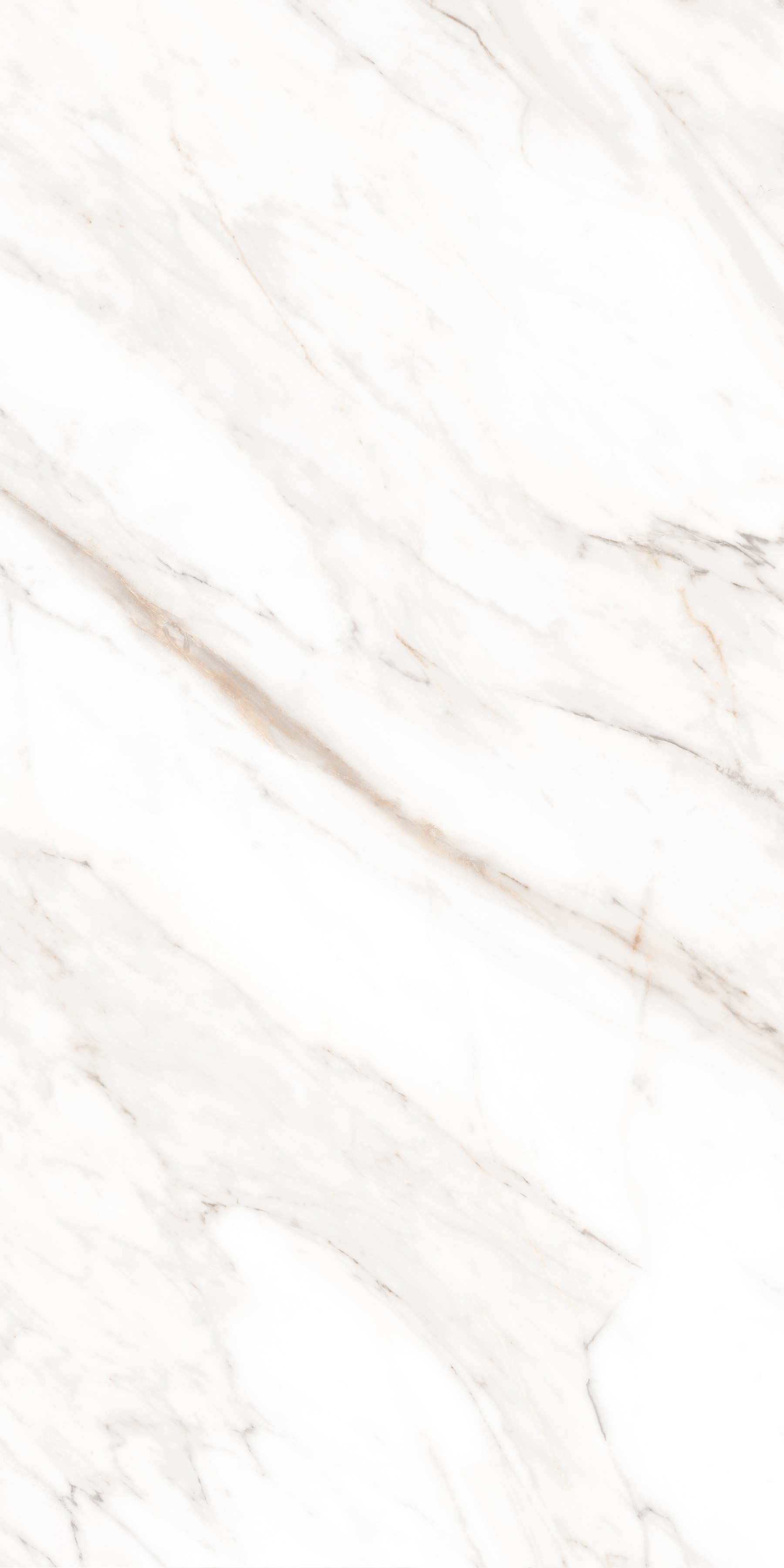 MPL-058631 На пол Simero Calacatta Gold Polished 60x120 - фото 3