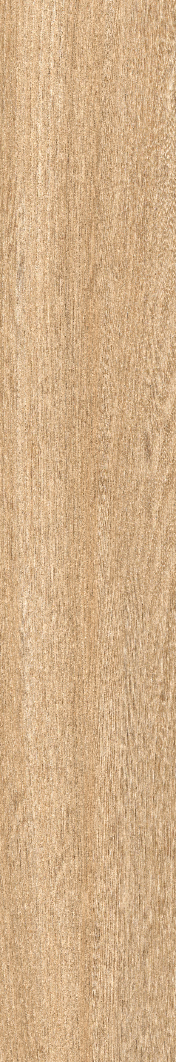 P0006147 На пол Poeme Roble 120x20 - фото 7