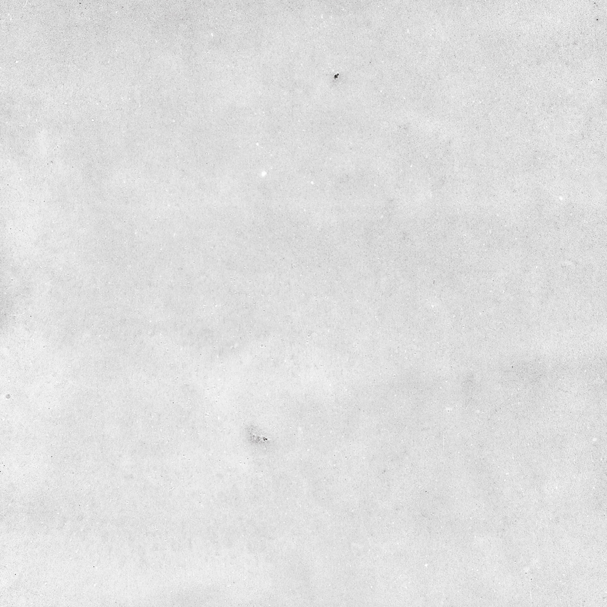 43294 На стену Samira White 10x10 - фото 29