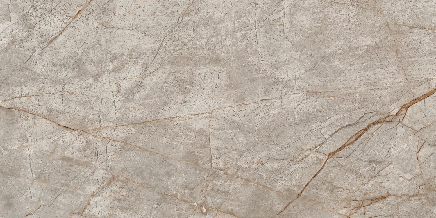 610015000618 На пол Empire Silver Root Rett 60x120 Lapp - фото 5