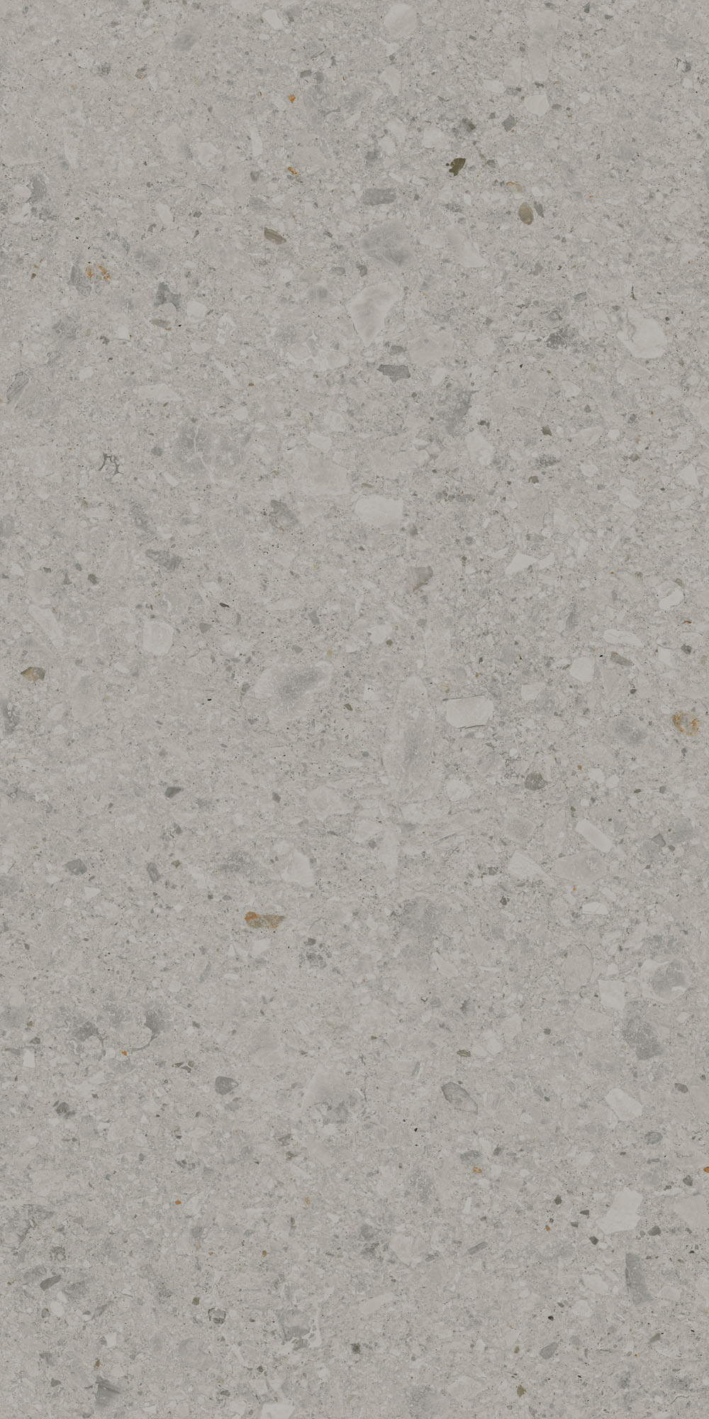 DD591400R На пол Чеппо ди Гре Серый матовый обрезной 119.5x238.5x1.1 - фото 5