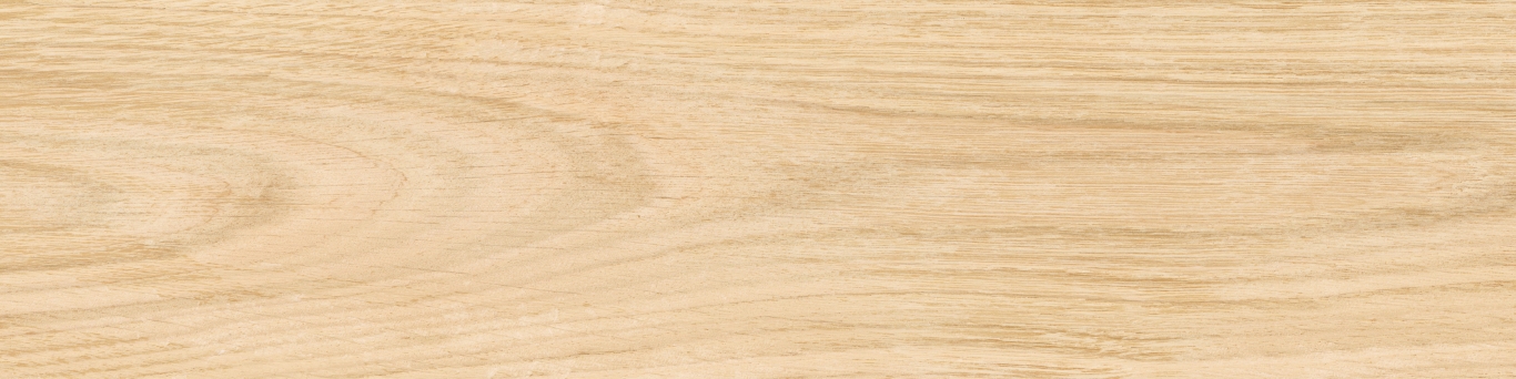 KM1040G0011N На пол Аргания Бежевый матовый 9.9x40.2x0.8 - фото 14