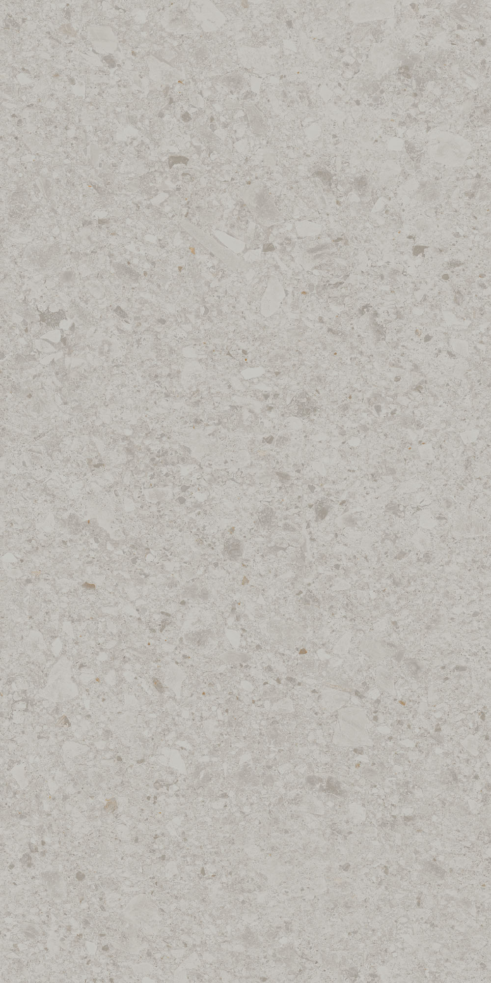 DD591220R На пол Чеппо ди Гре Серый светлый матовый обрезной 119.5x238.5x0.9 - фото 4