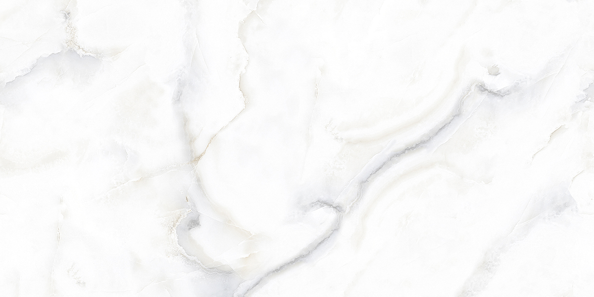 PRO 1149G На пол Dove Onix Gloss 1200x600 - фото 8