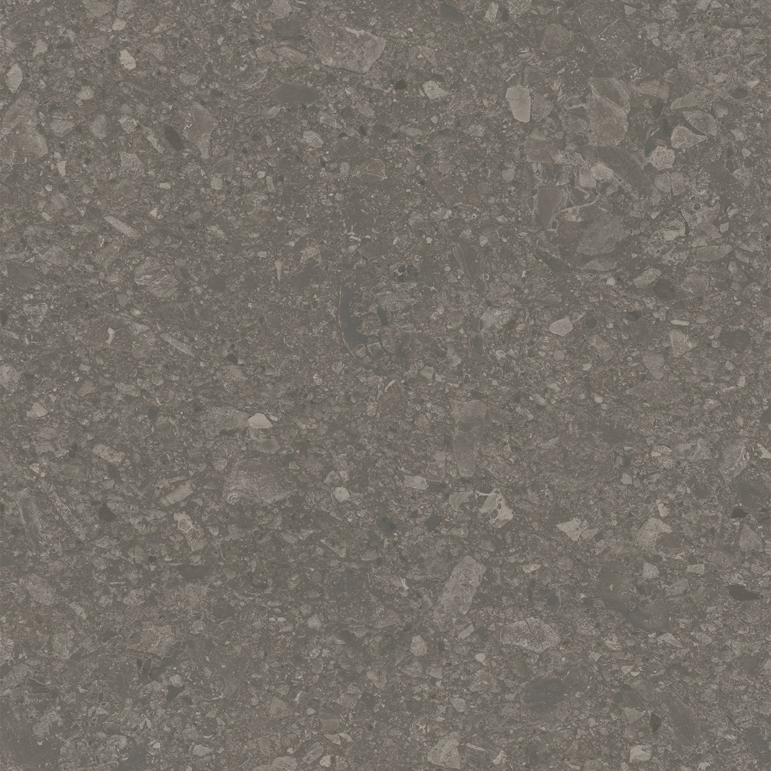 DD012920R На пол Чеппо ди Гре Коричневый матовый обрезной 119.5x119.5x0.9 - фото 2