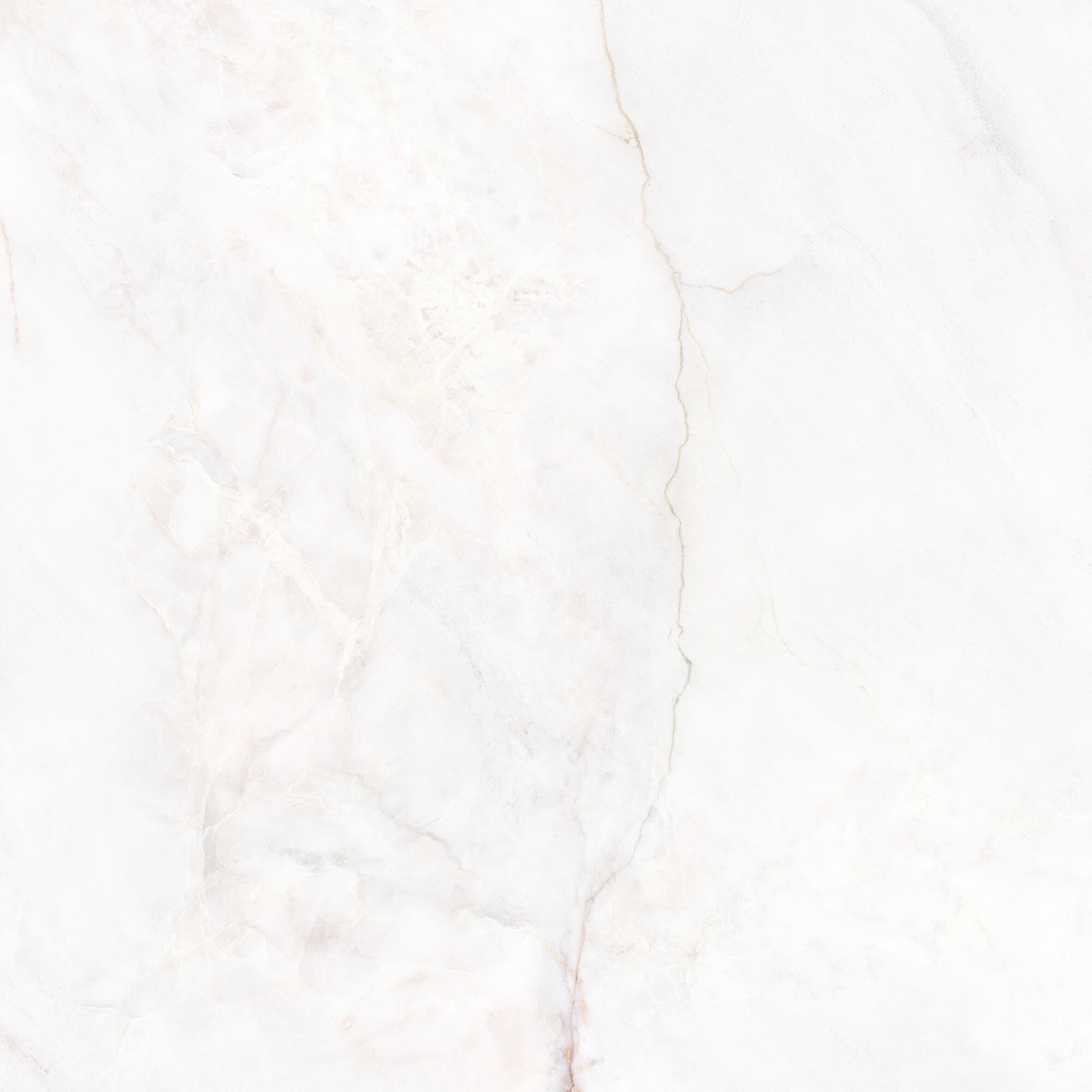 41431 На пол Museum Dahlia White SP/100X100X0.8/R 100x100 - фото 21