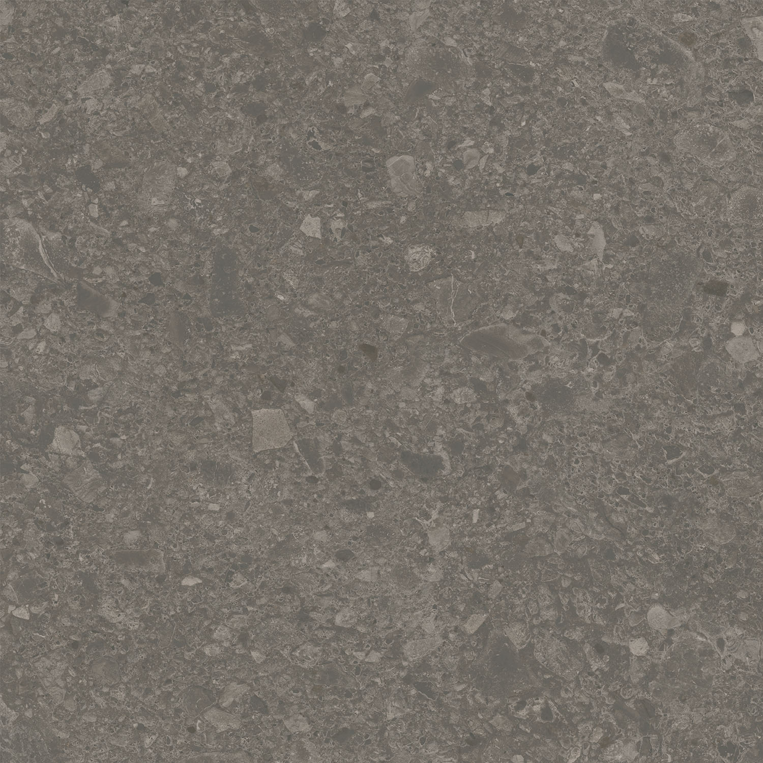 DD012900R На пол Чеппо ди Гре Коричневый матовый обрезной 119.5x119.5x1.1 - фото 2