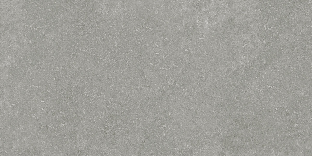 ID9062b054SR На пол Идальго Граните Глория Gray / Серый SR 120x60 - фото 4