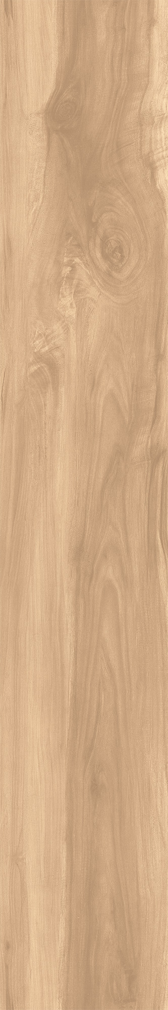 CW-RT09-B На пол Fossil Wood Brich Rustic 20x120 - фото 8