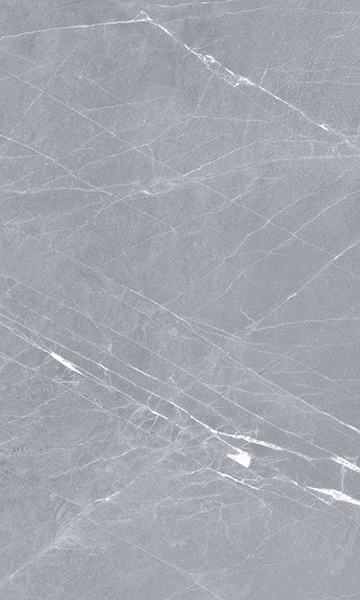 010100000350 На стену Elegance Grey wall 02 - фото 6