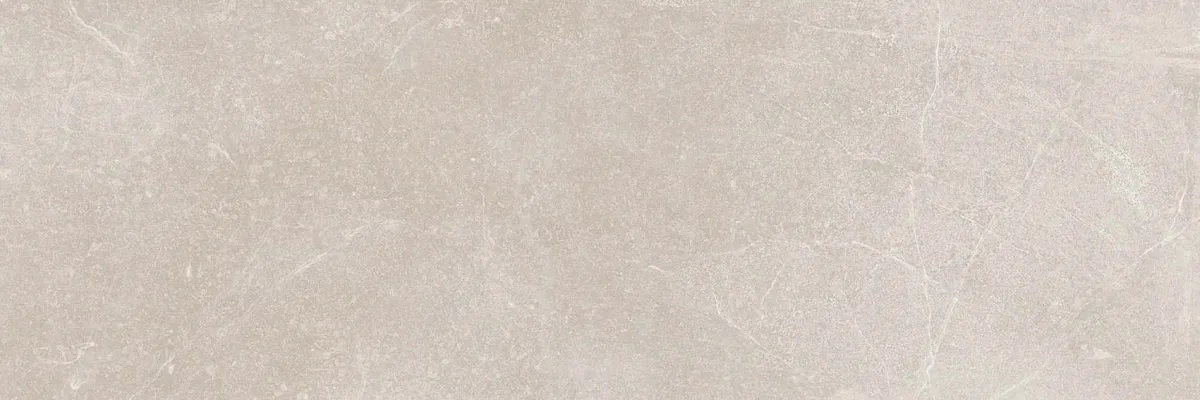 R0001633 На стену Bleuemix Taupe 40x120 - фото 7