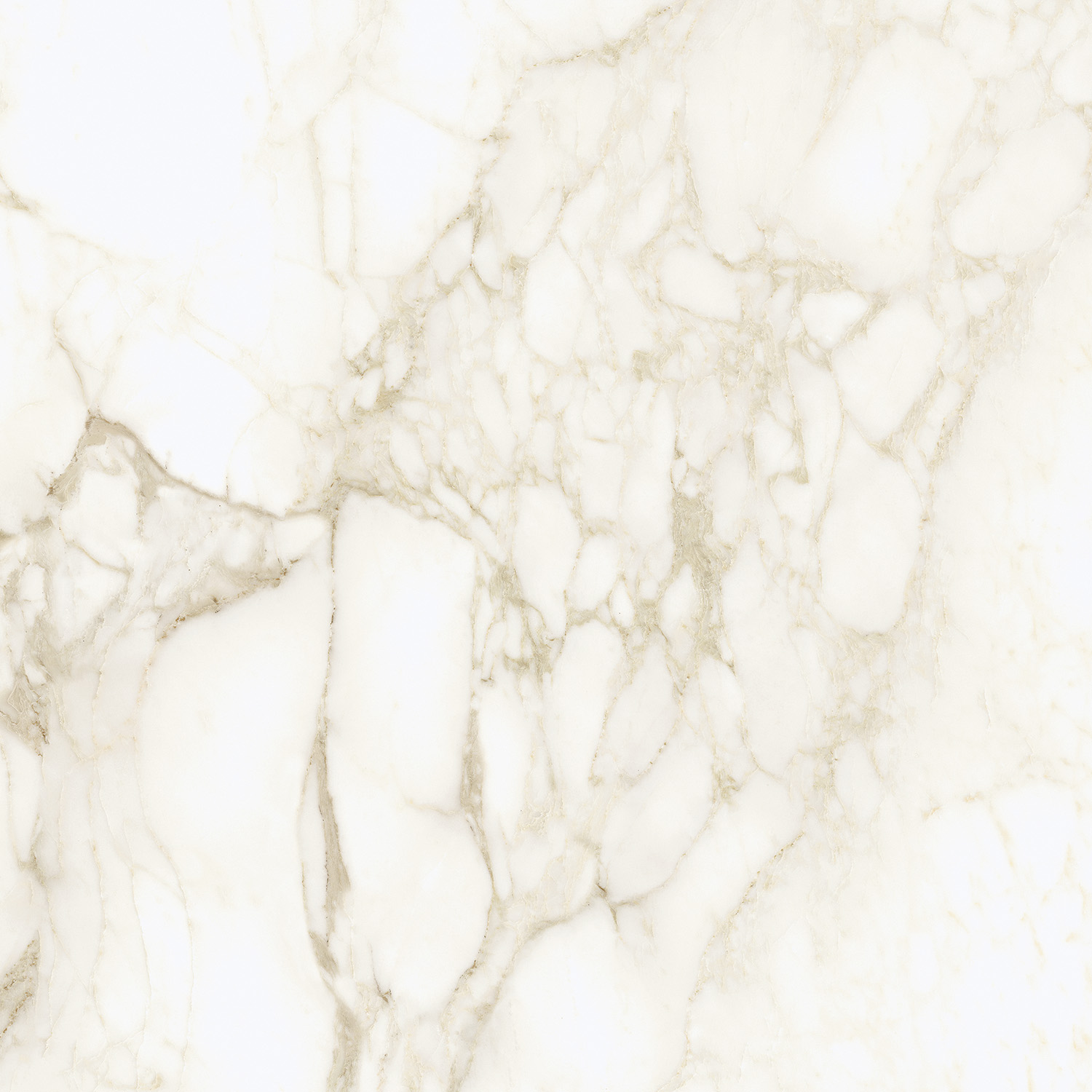 610010002748 На пол Michelangelo Ворм 60x60 - фото 4