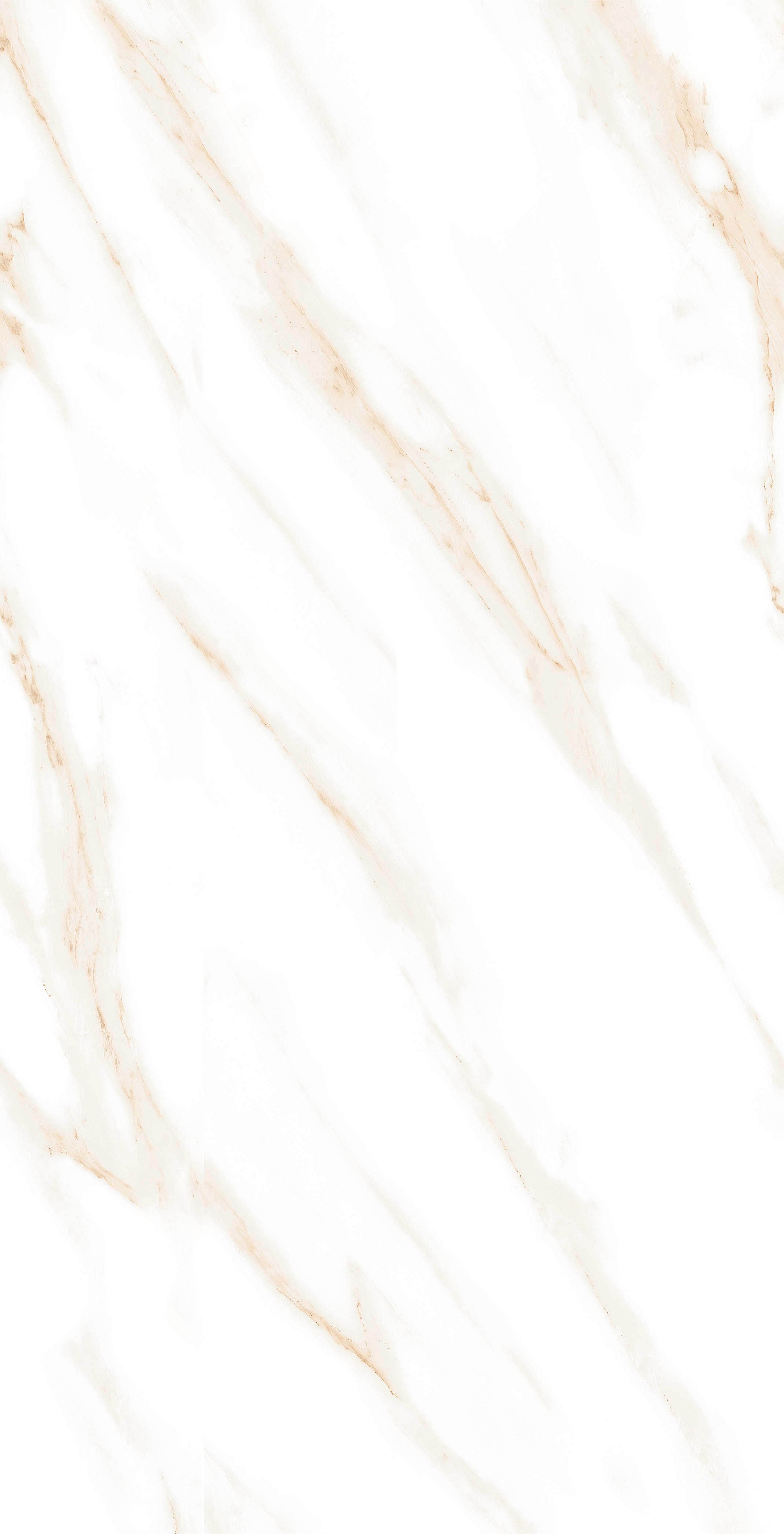 MOG102/PS_NC/60x120x9R/GW На пол Marble MOG102 White 120x60 Полированный Рект. - фото 6